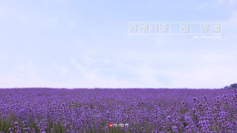 리산애 감성여행 이미지