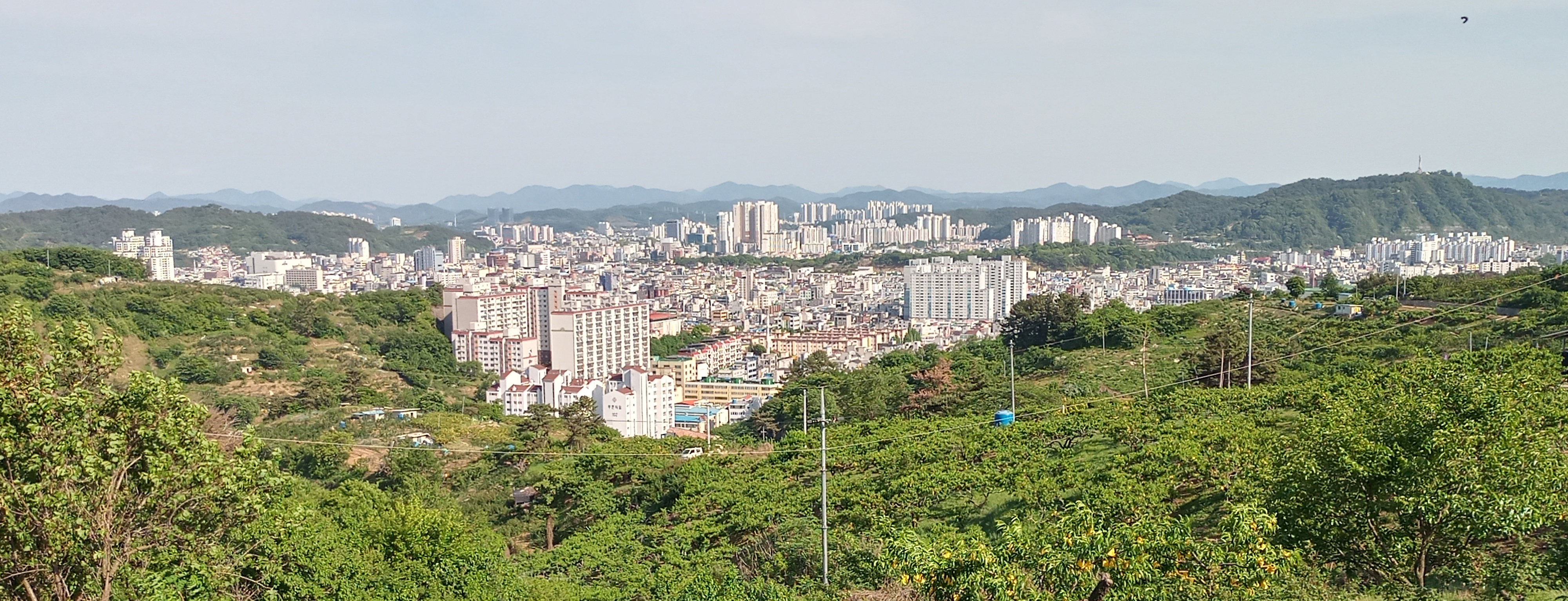 상봉동 대룡산 에서 본 시내전경. - ◈*자유 사진방 - 한영농원 한영농원