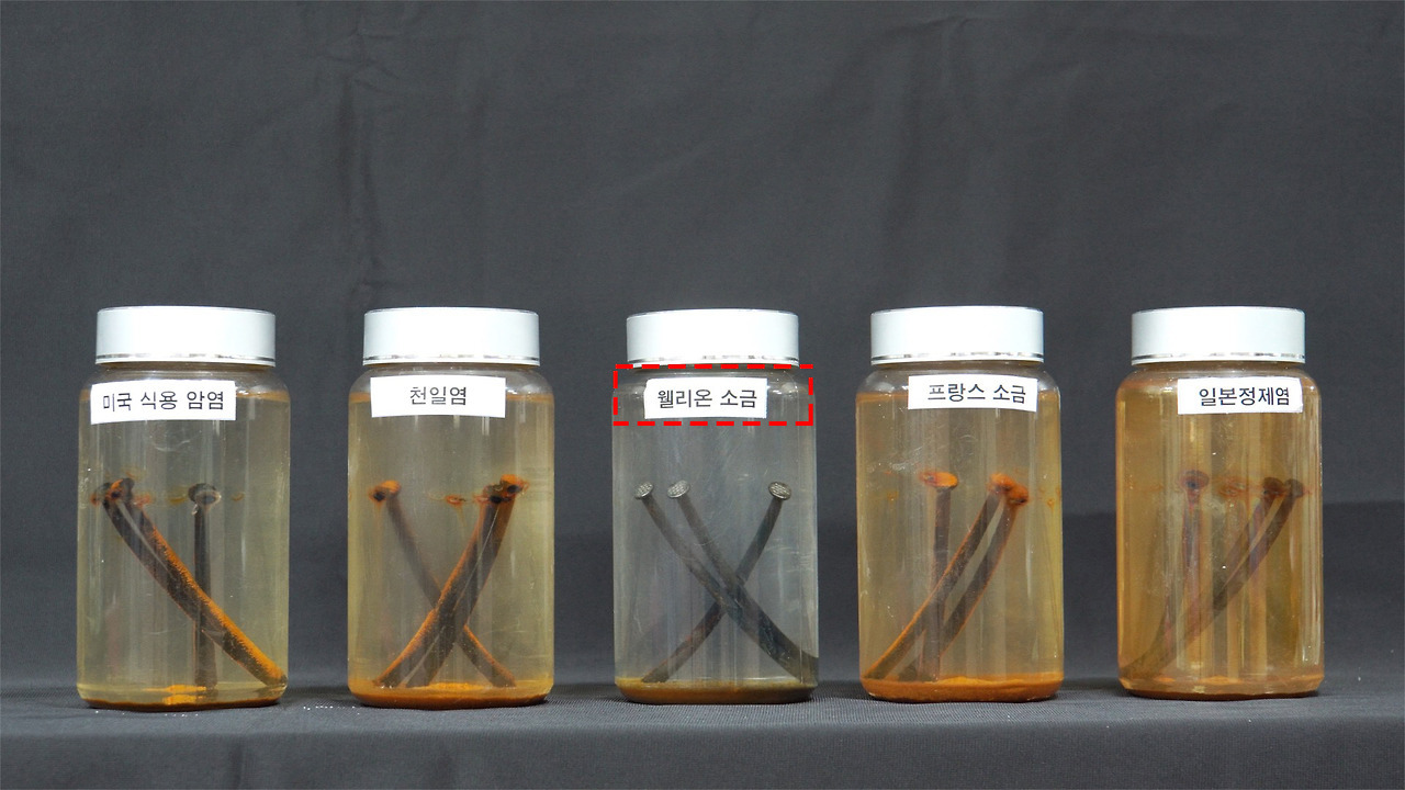 웰리온 이미지