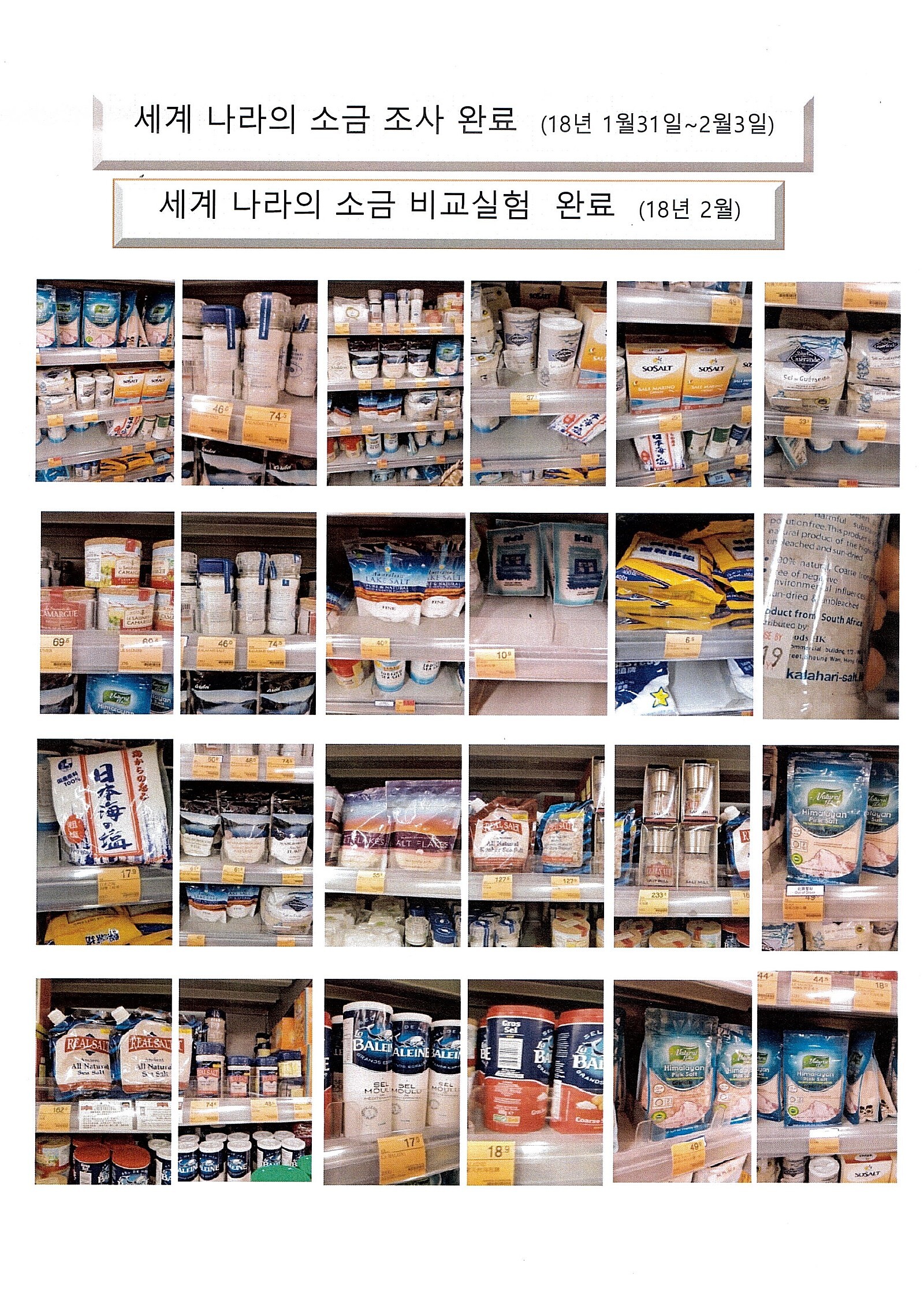 웰리온 이미지
