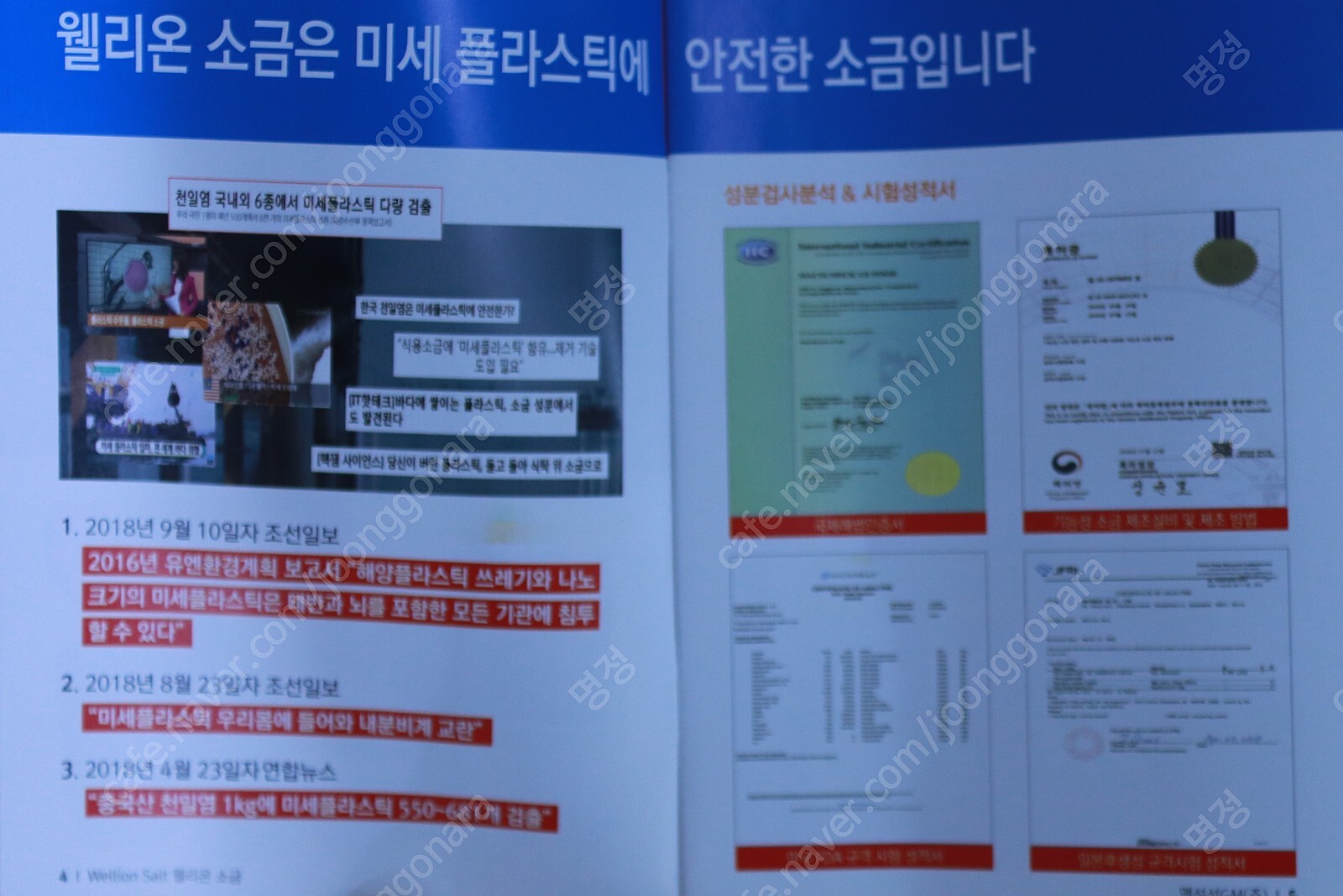웰리온 이미지
