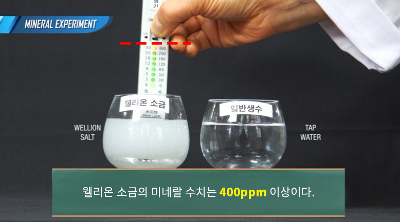 웰리온 이미지