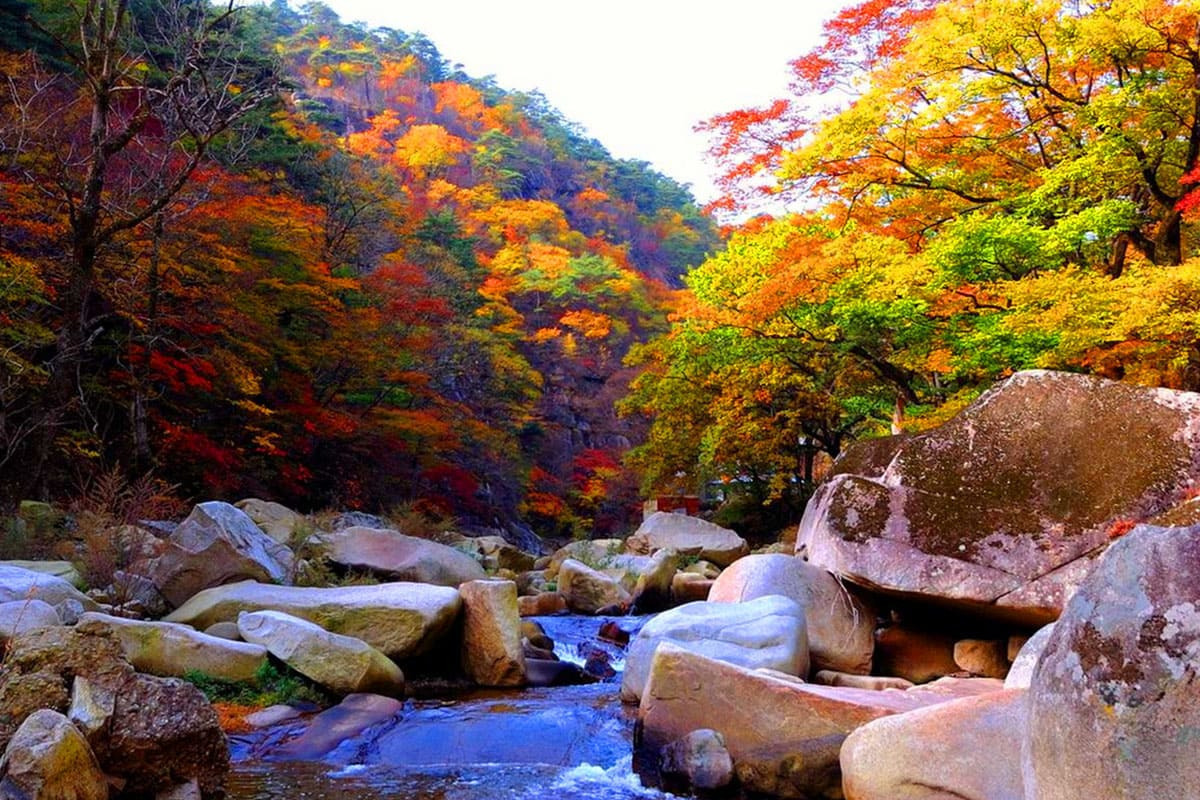 오천농협 하나로마트 이미지