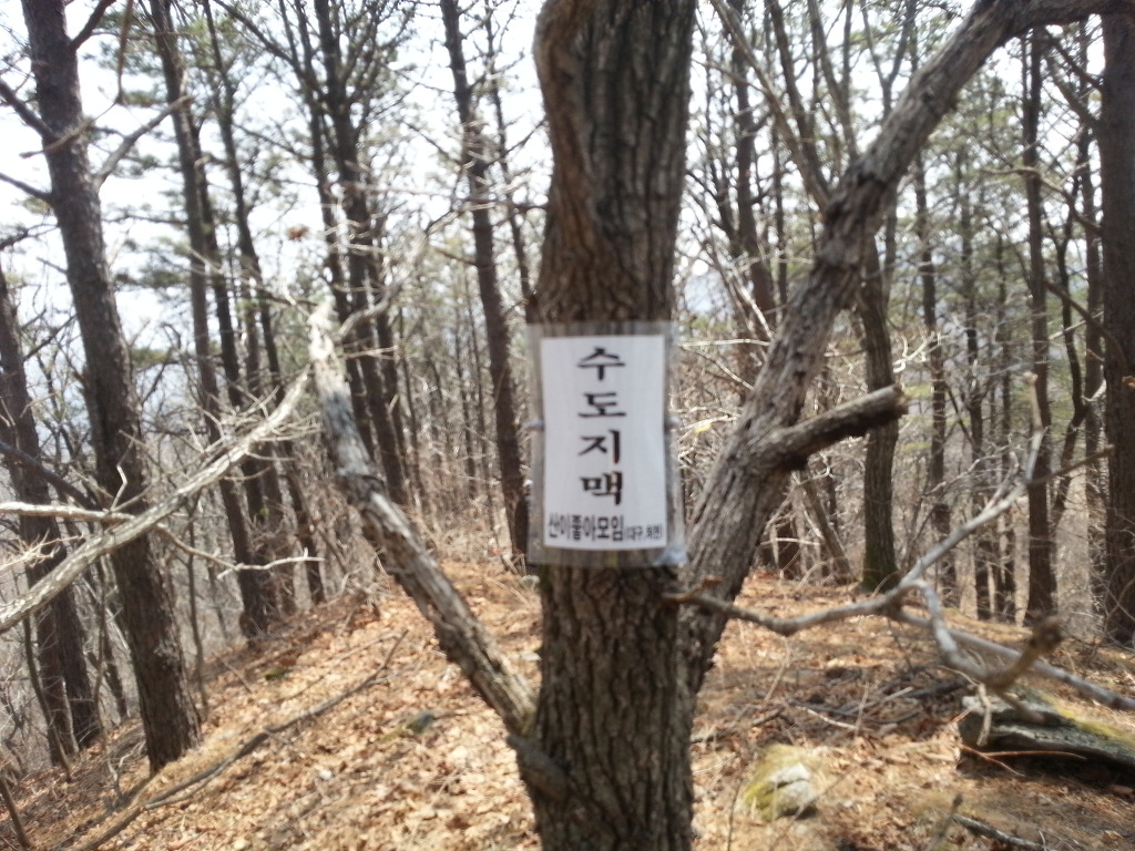 시청운동장 이미지