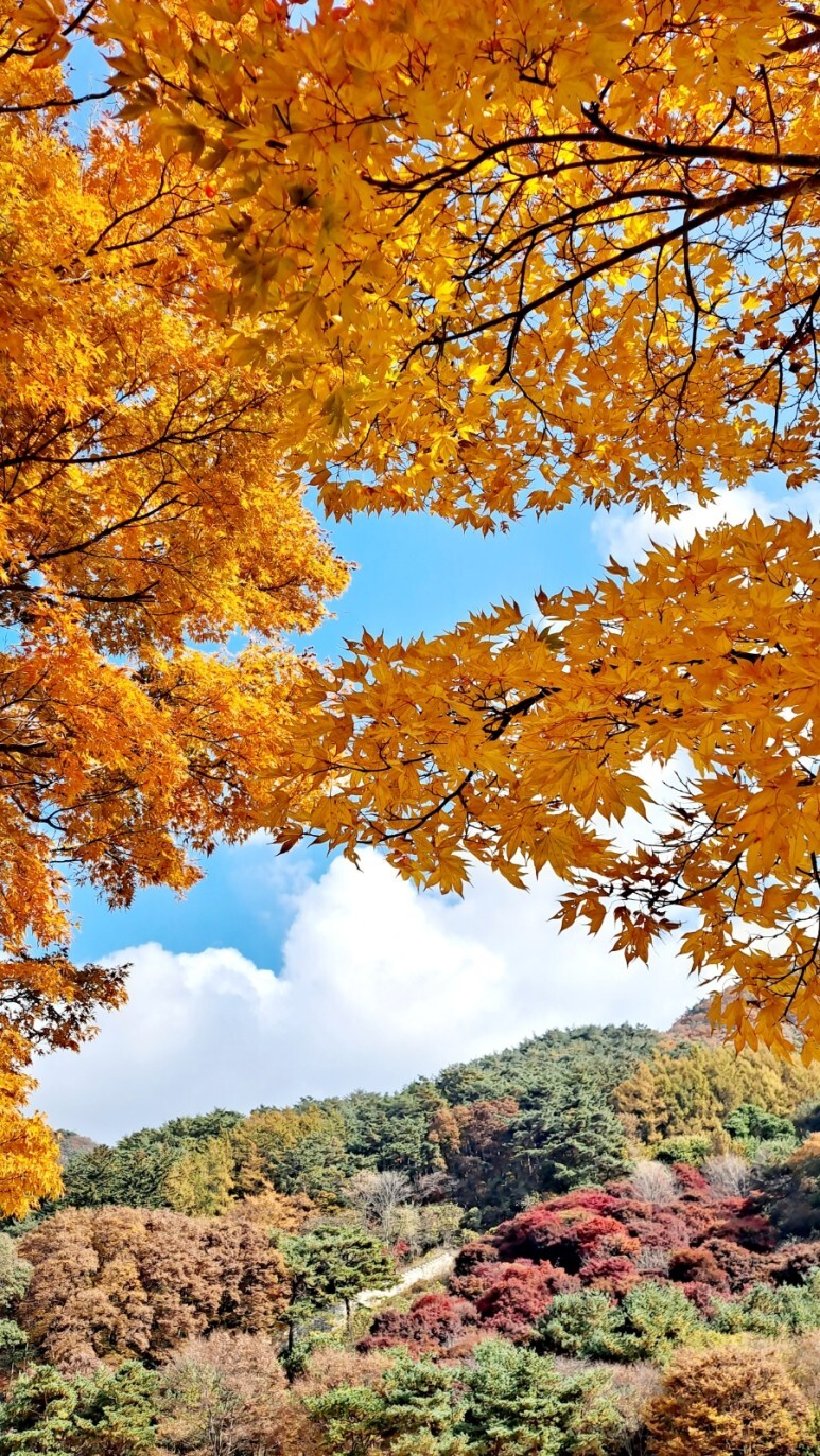 시청운동장 이미지