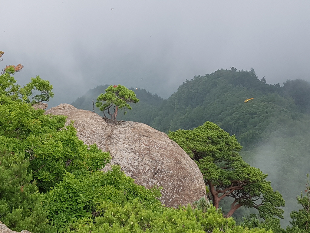 시청운동장 이미지