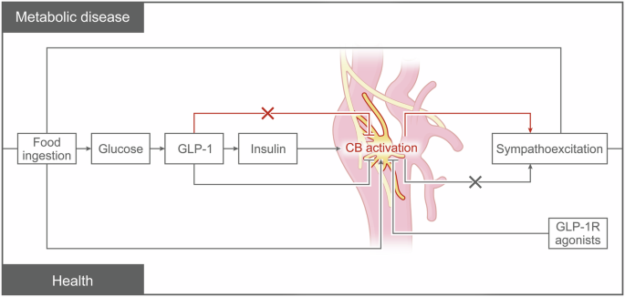beaker semaglutide Semaglutide Compounding in Cincinnati: Your Local Guide – Harrison Pharmacy  & Wellness