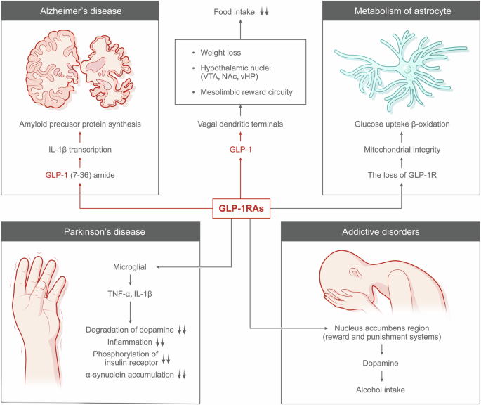 glp 1 how long do you take it What Should I Expect the First Week of Semaglutide GLP-1