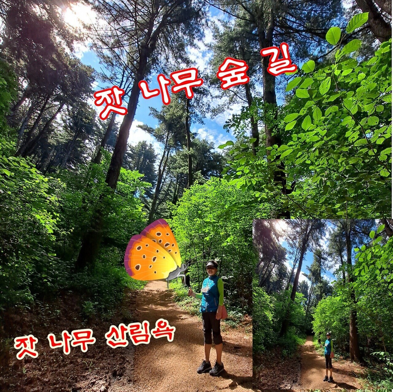 가평잣향기 이미지
