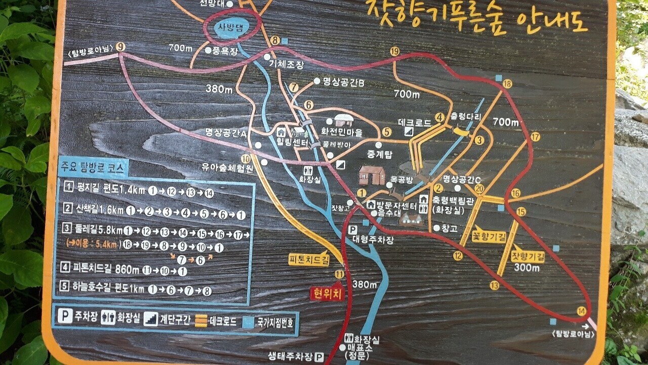 가평잣향기 이미지