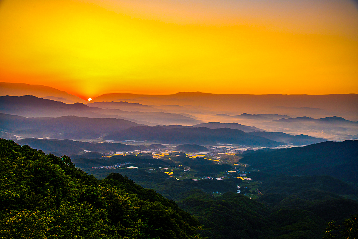 OK목장 이미지