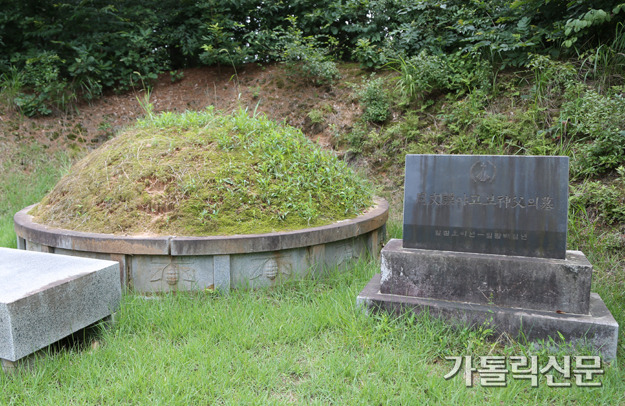 한국교구 이미지