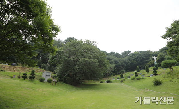 한국교구 이미지