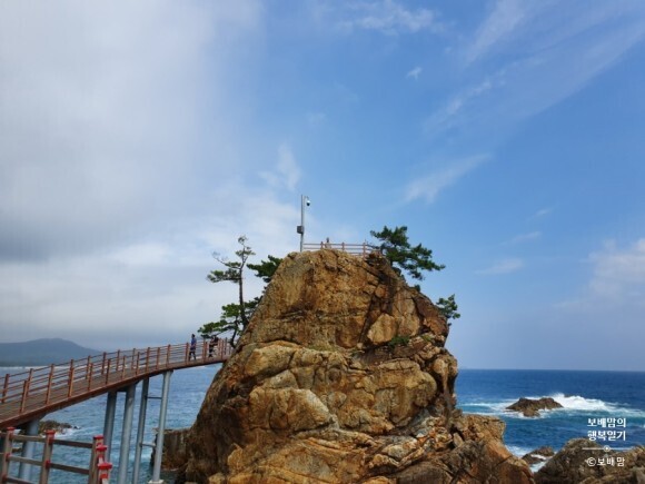 (주)파랑새여행사 이미지