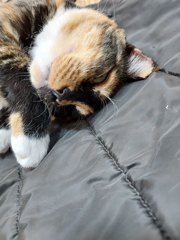 이천자전거 이미지