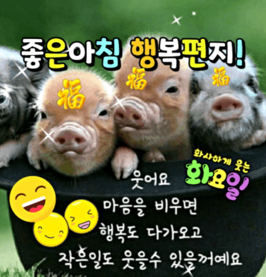 웃으면복돼지 이미지