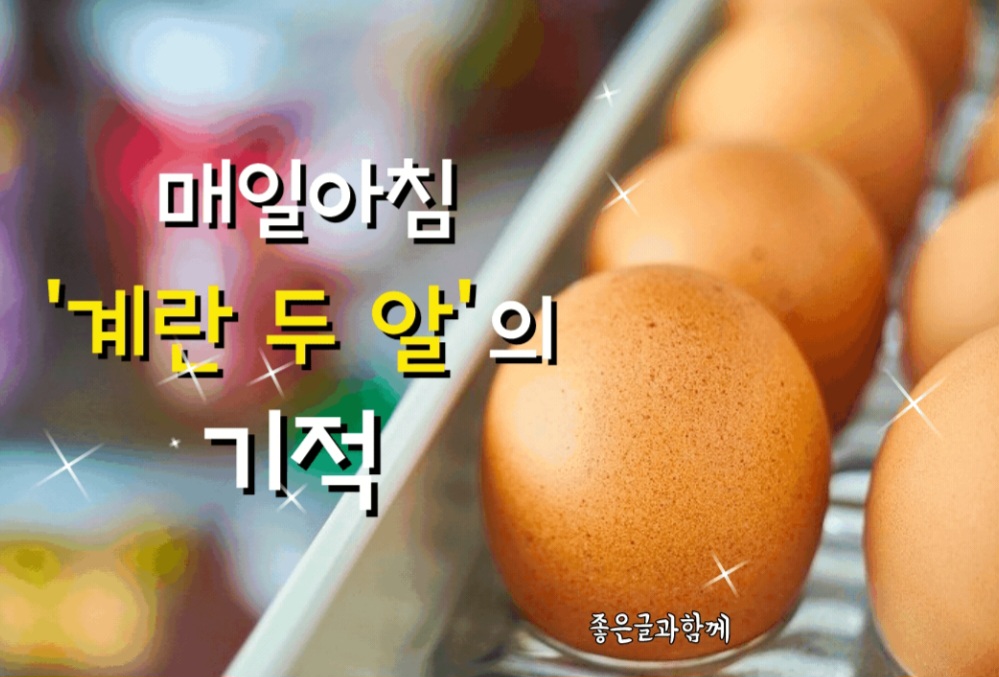 알 이미지