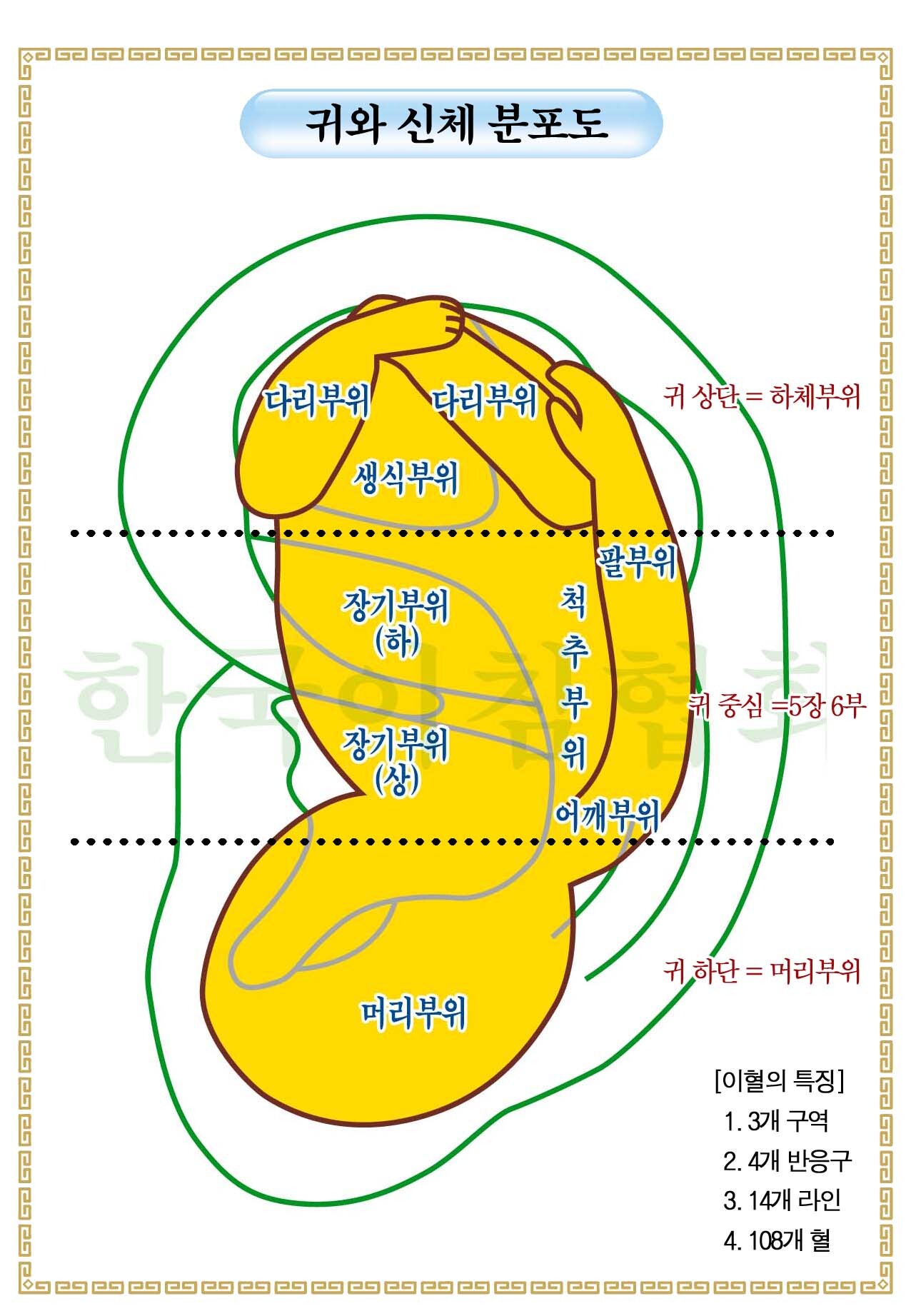 한국이침협회 이미지