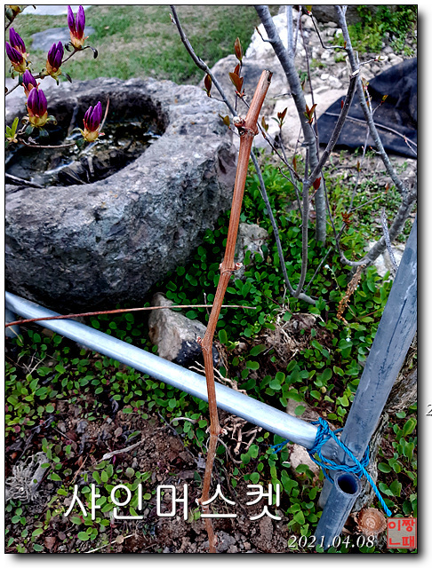 청포농원 이미지