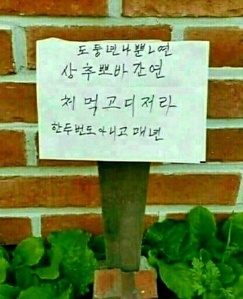 뽀바뽀바 이미지