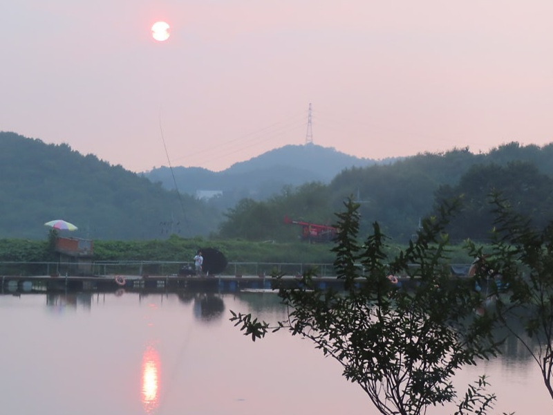 처서 이미지