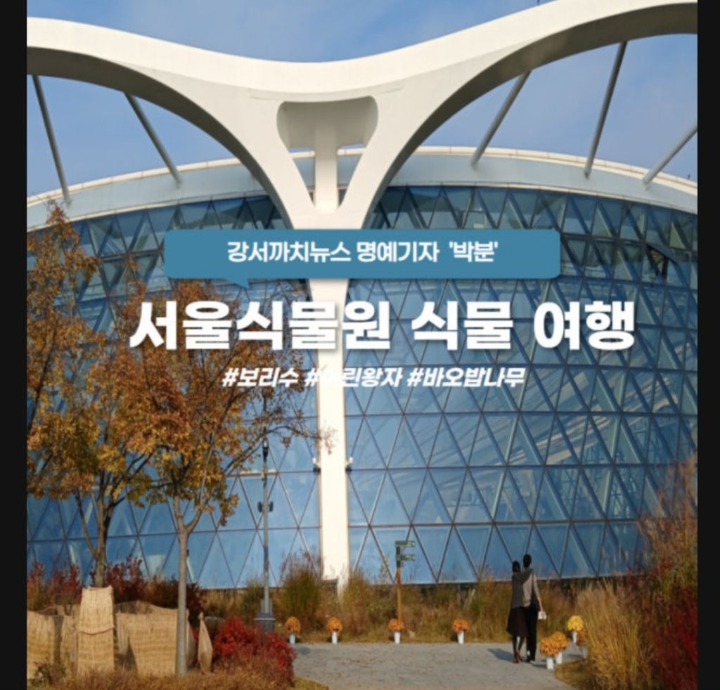 3. 주변 개발과 부동산 영향