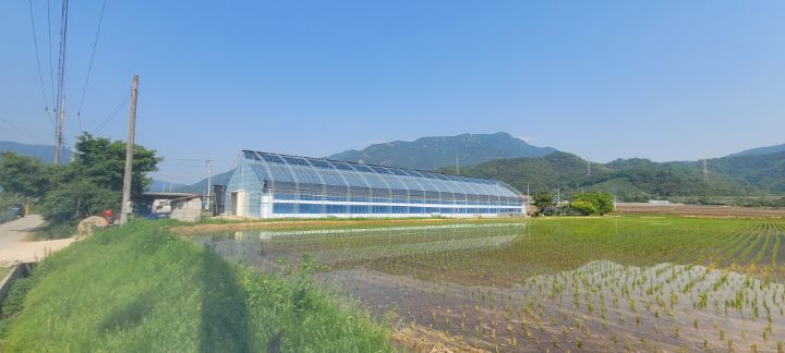 금란정 이미지