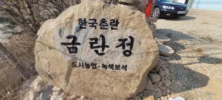 금란정 이미지