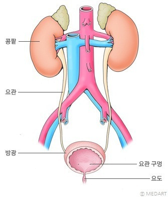 (주)경맥 이미지