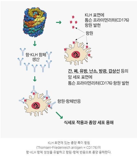 비오메드요양병원 이미지
