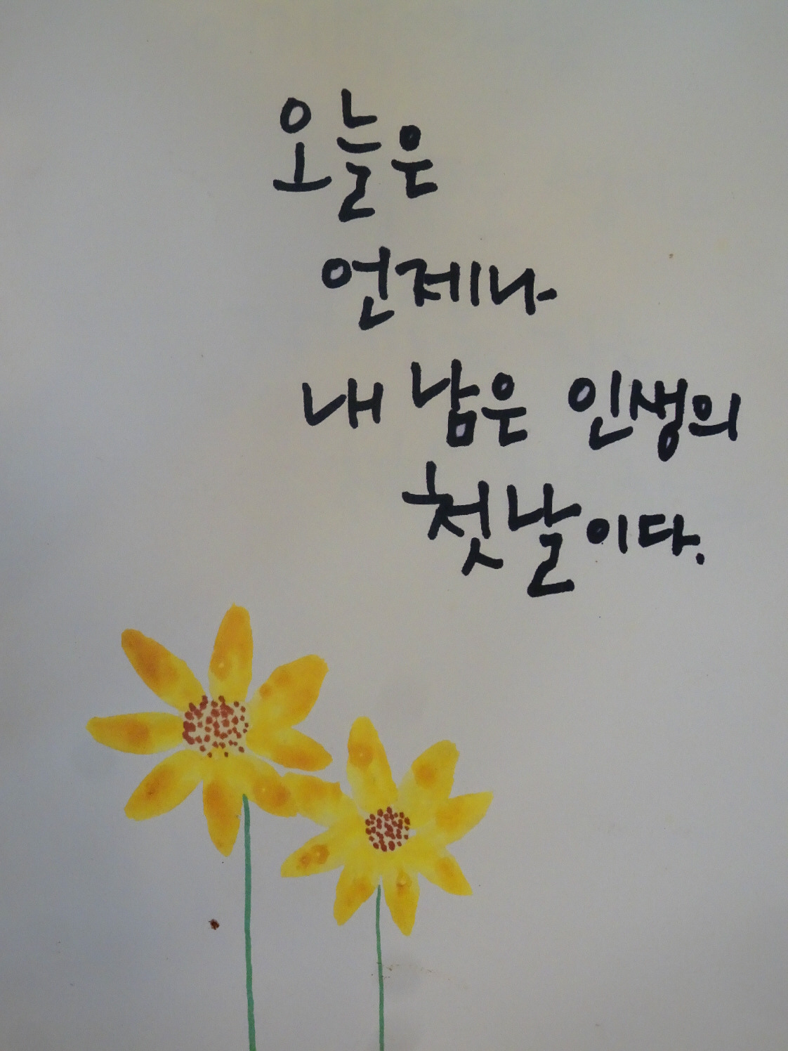 국시한그릇 사진 5