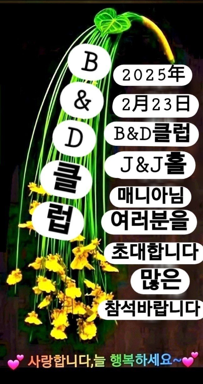 비앤디 이미지