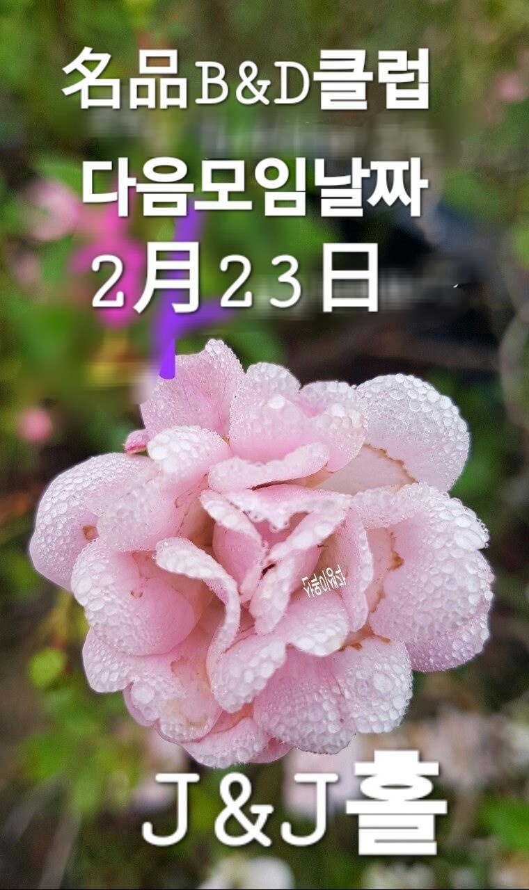 비앤디 이미지