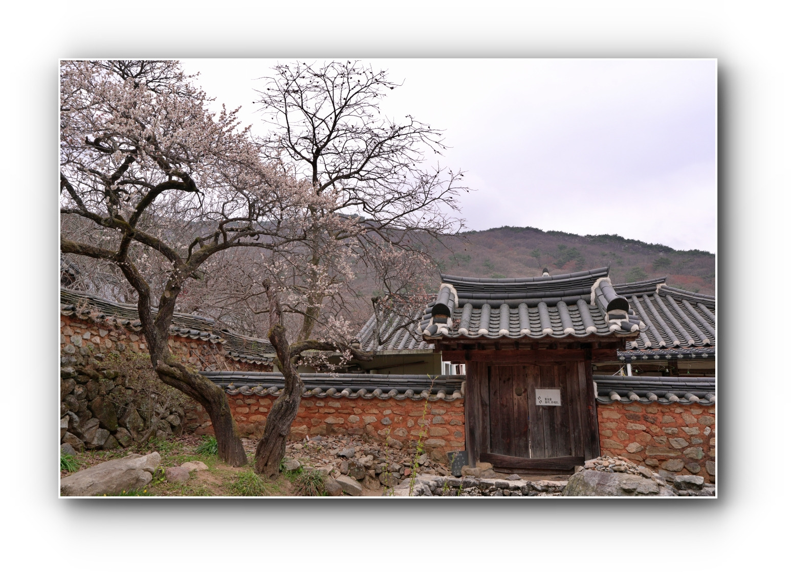선암사 이미지