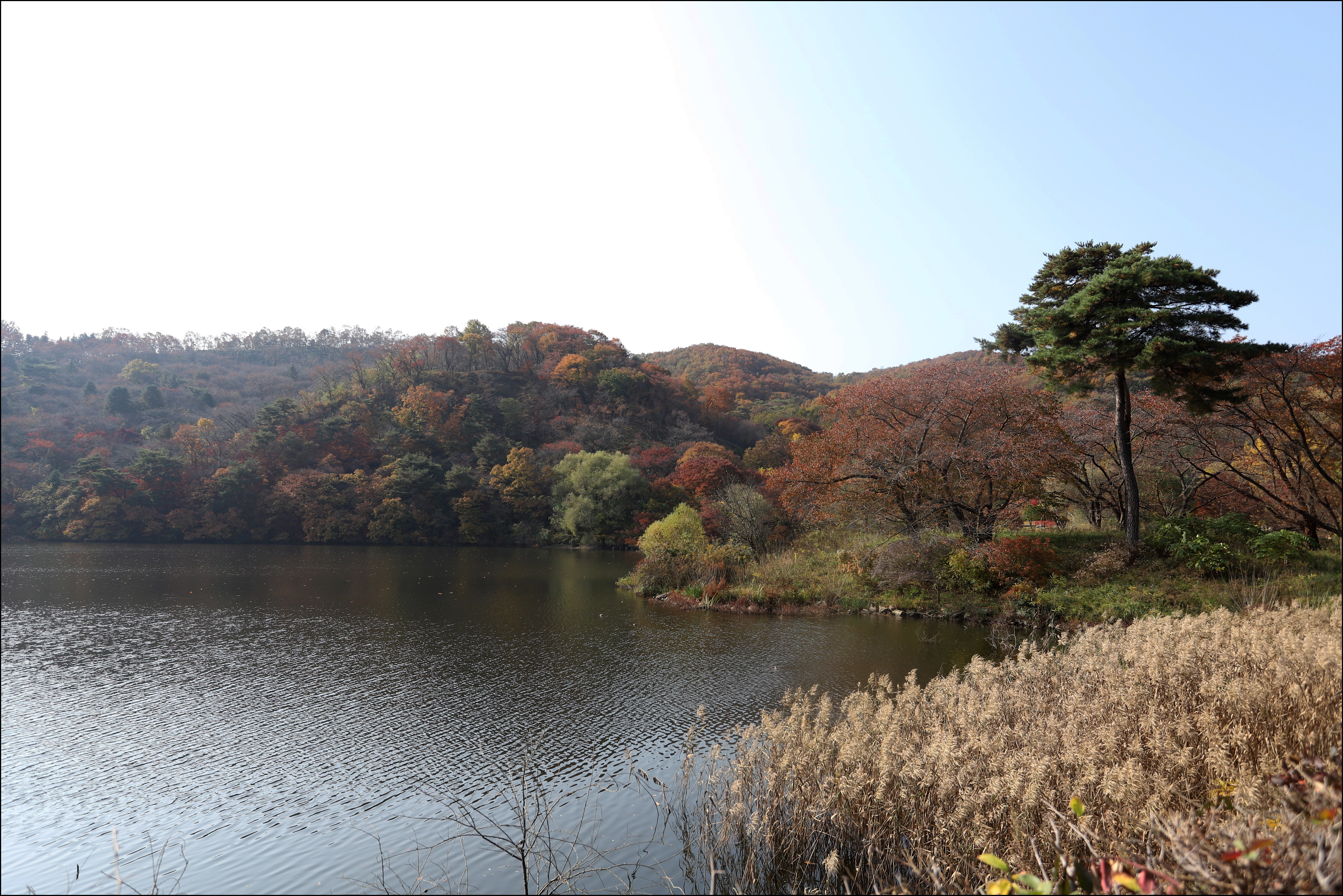 호암정원 이미지