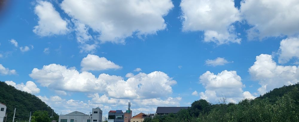 좋은날오후 이미지