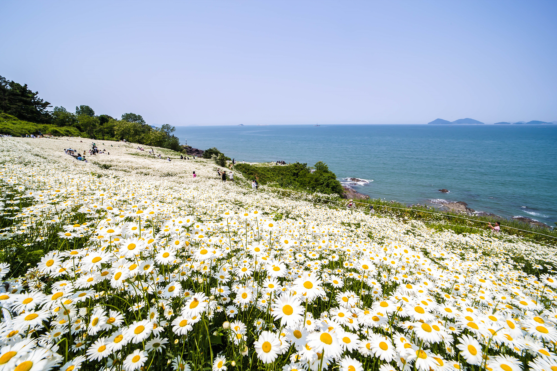 부안 이미지
