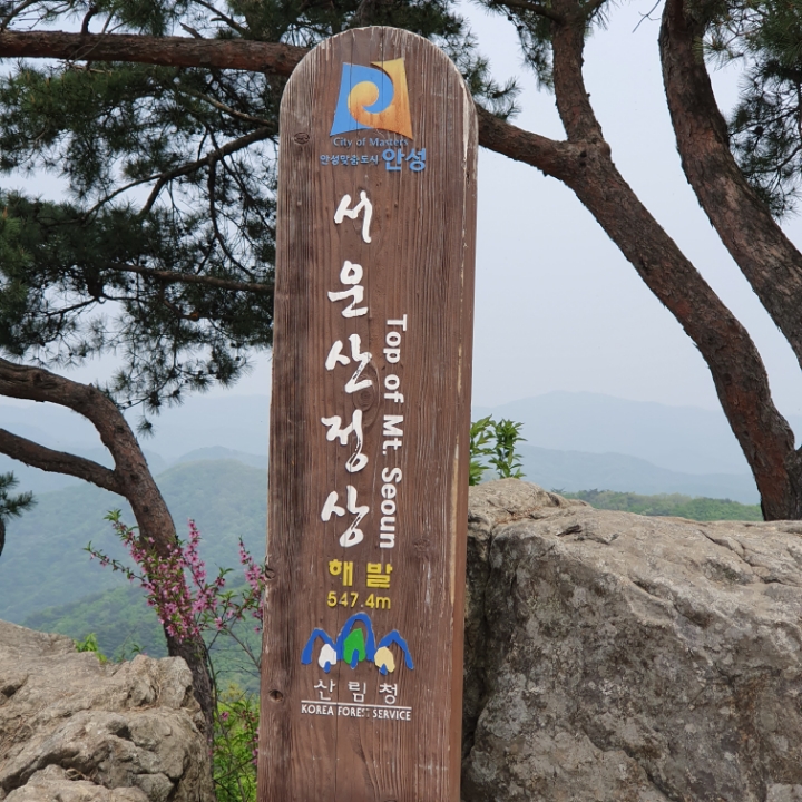 인천산악회 서운산(547.4M)가다 - 산행후기 - 중앙대인천산악회 인천산악회 서운산(547.4M)가다