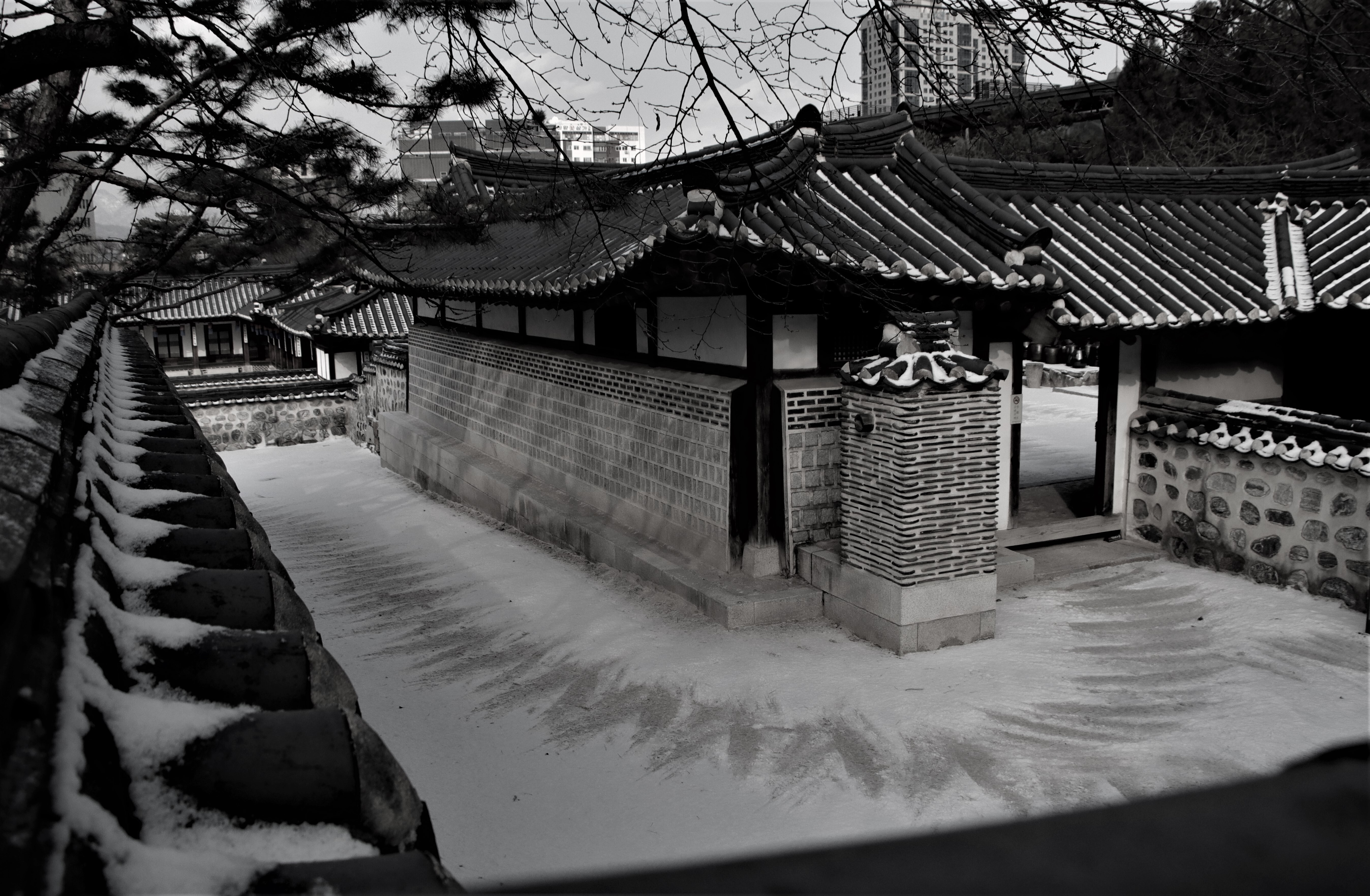 마당쇠 이미지