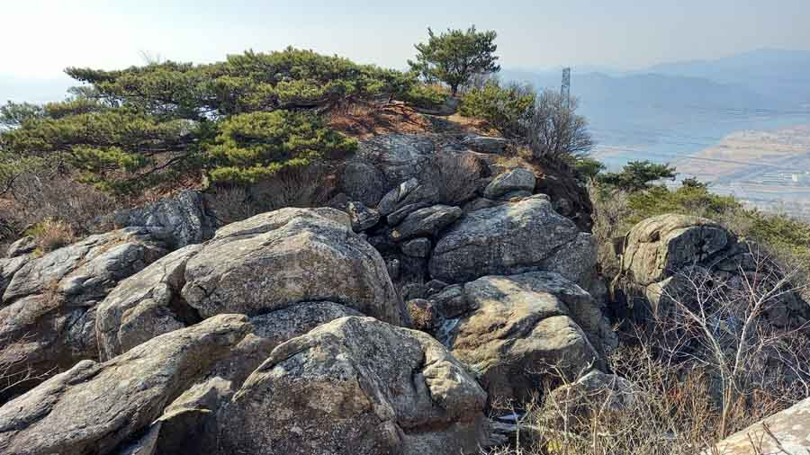 차차차 이미지