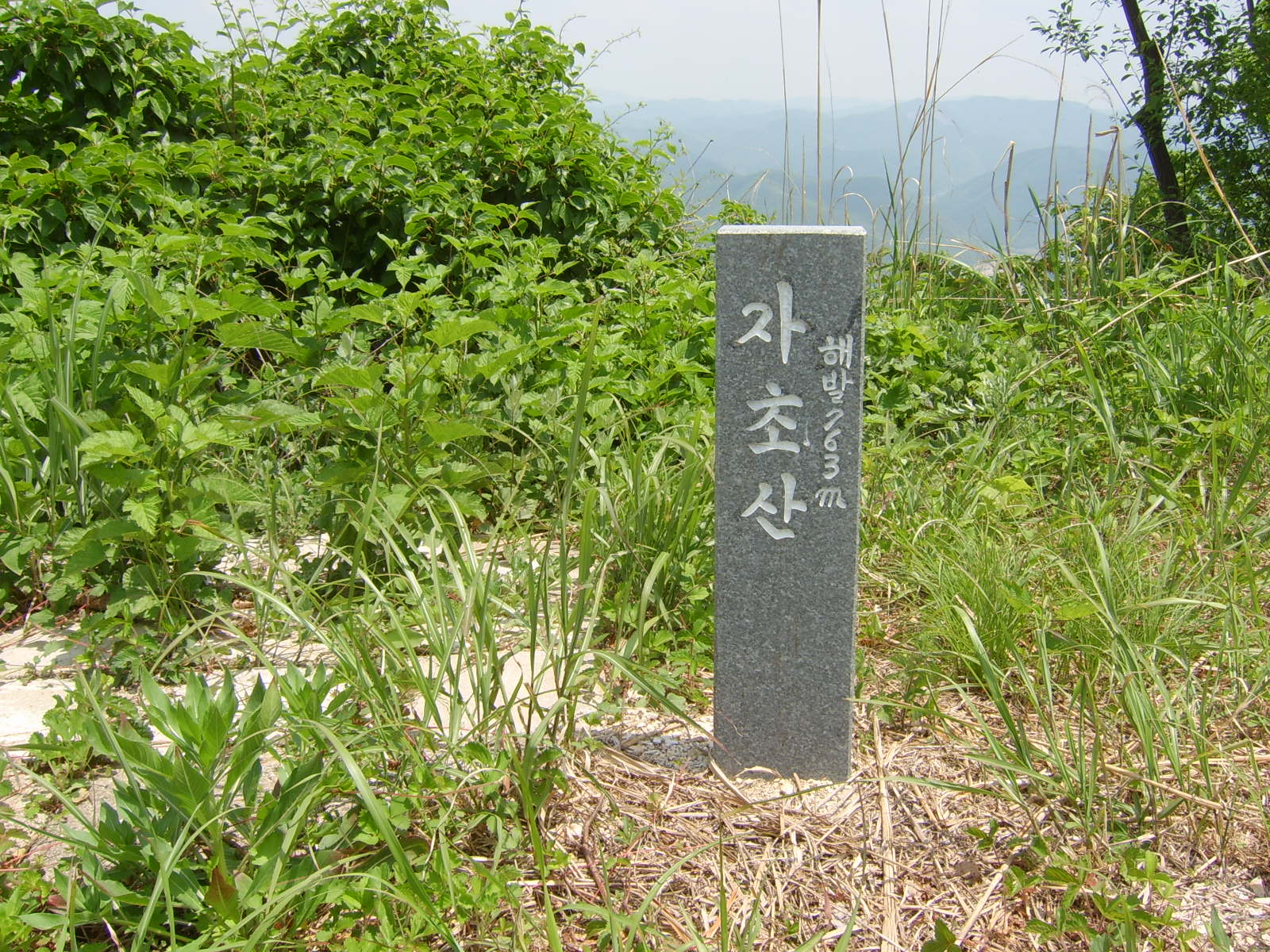 이미지를 클릭하면 원본을 보실 수 있습니다.