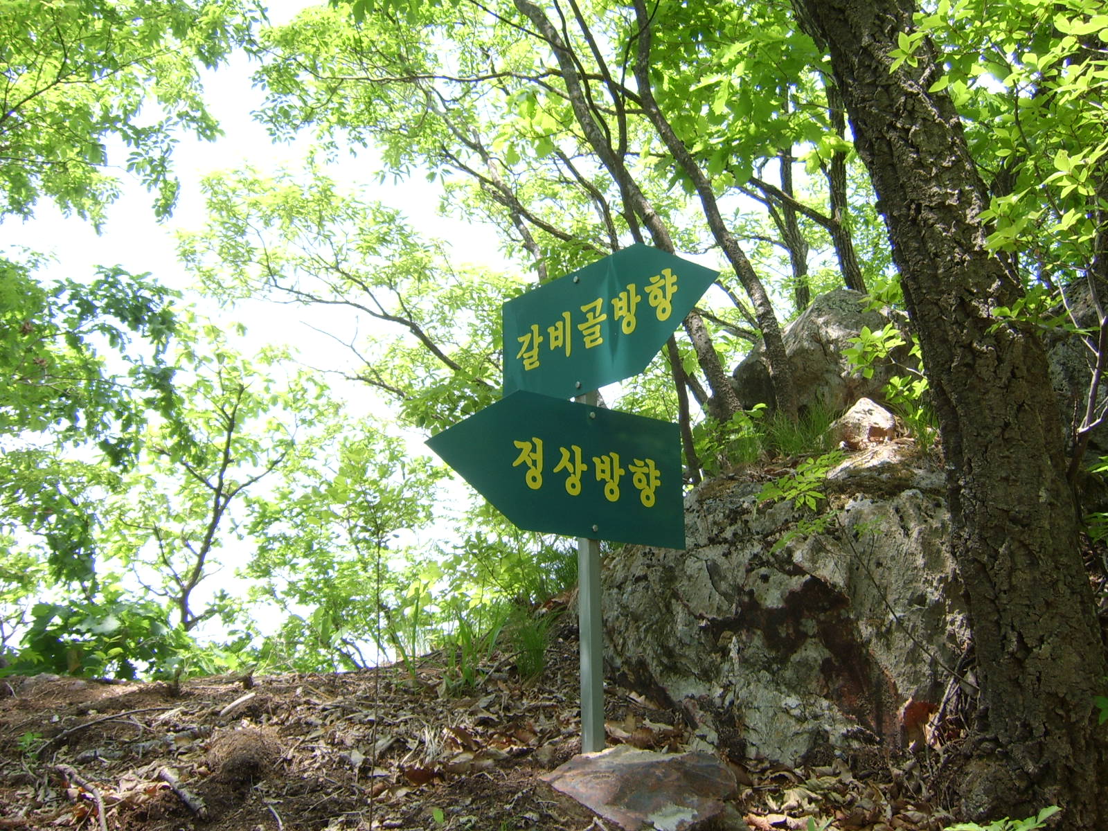 이미지를 클릭하면 원본을 보실 수 있습니다.