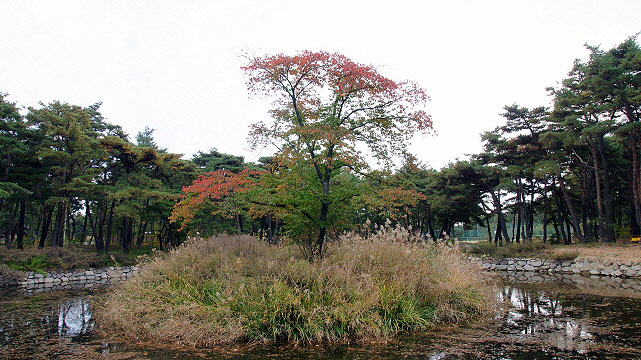 송림정 이미지