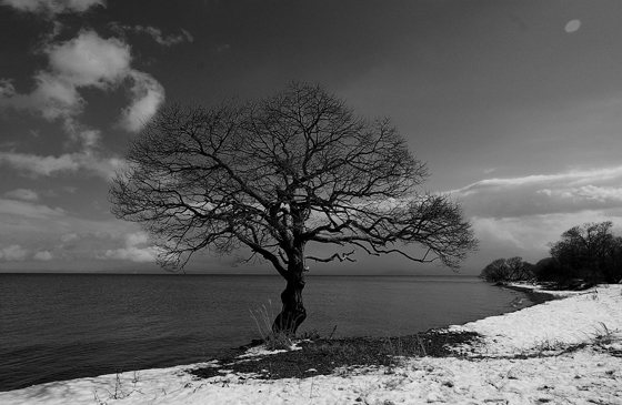 When Winter Comes / Chris De Burgh