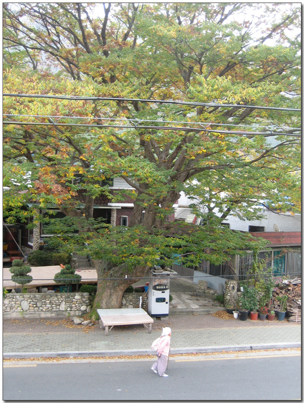 우리집같은민박 이미지