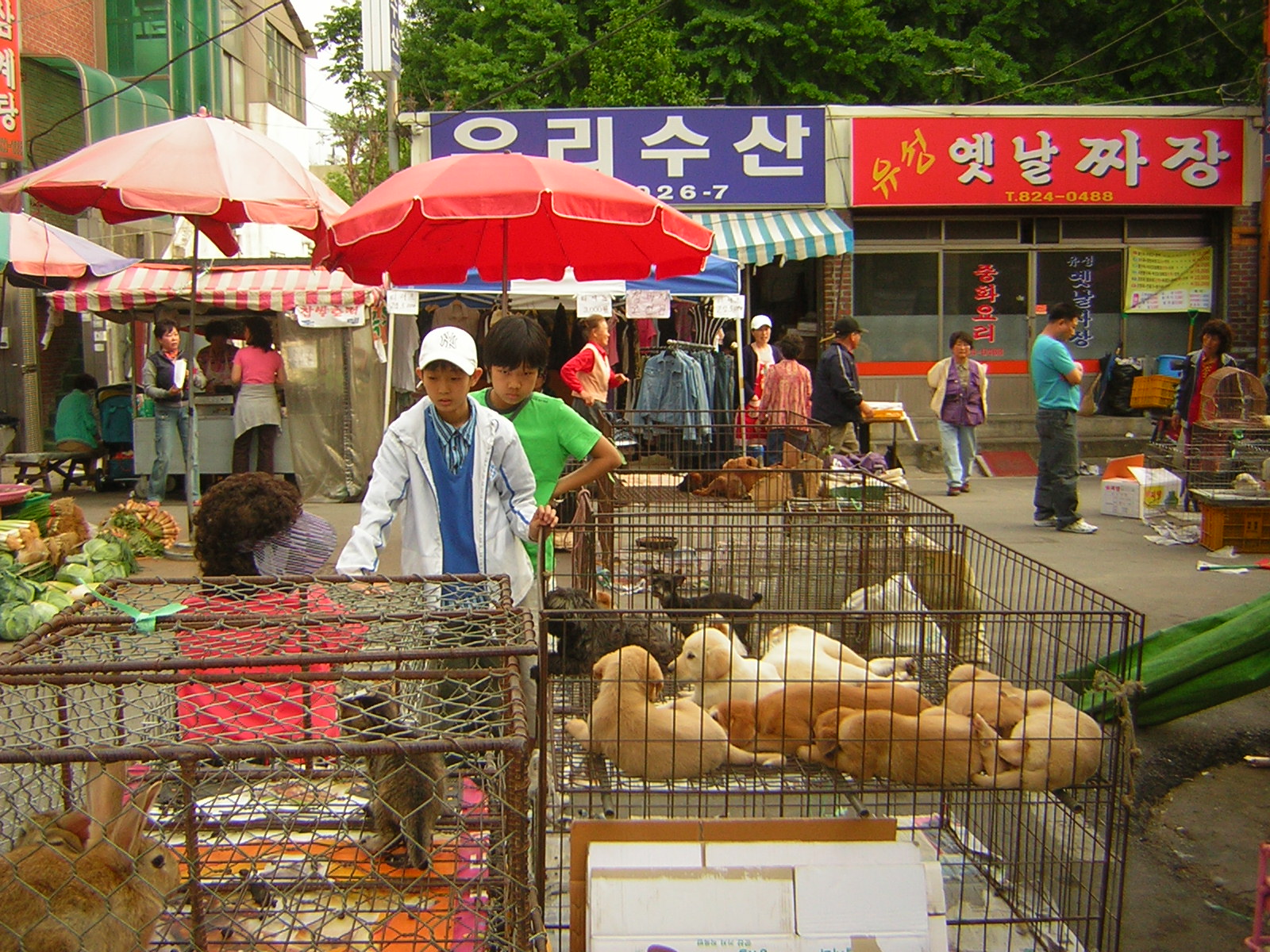 이미지를 클릭하면 원본을 보실 수 있습니다.