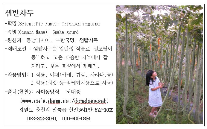 하이농장 이미지