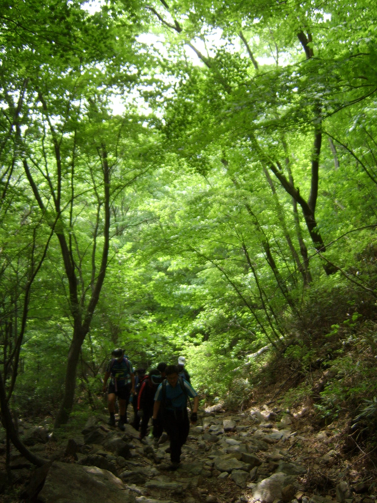이미지를 클릭하면 원본을 보실 수 있습니다.