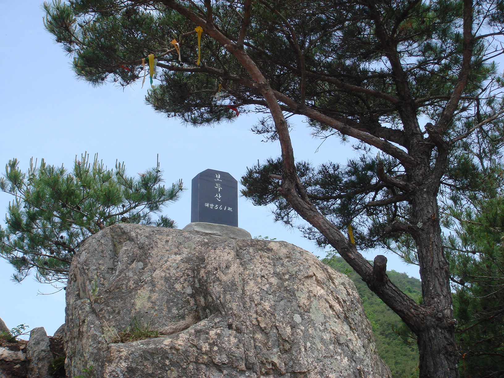 이미지를 클릭하면 원본을 보실 수 있습니다.
