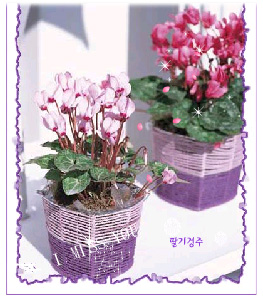딸기겅주♥